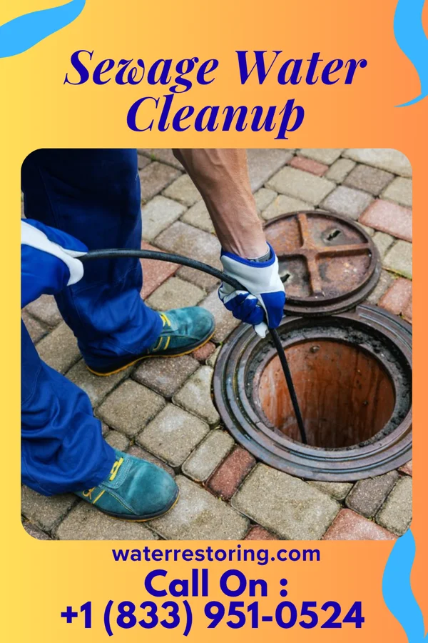Sewage Water Cleanup in Luray, KS